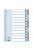 Regiszter, laminált karton, A4, 12 részes, ESSELTE "Mylar" (E100169)