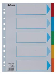   Regiszter, karton, A4, 5 részes, írható előlappal, ESSELTE "Standard", színes (E100191)