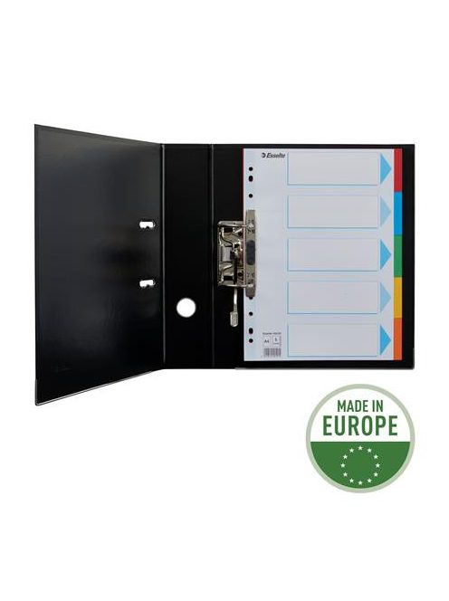 Regiszter, karton, A4, 5 részes, írható előlappal, ESSELTE "Standard", színes (E100191)