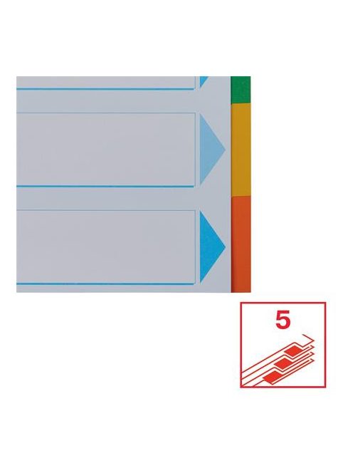 Regiszter, karton, A4, 5 részes, írható előlappal, ESSELTE "Standard", színes (E100191)