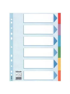  Regiszter, karton, A4, 6 részes, írható előlappal, ESSELTE "Standard", színes (E100192)