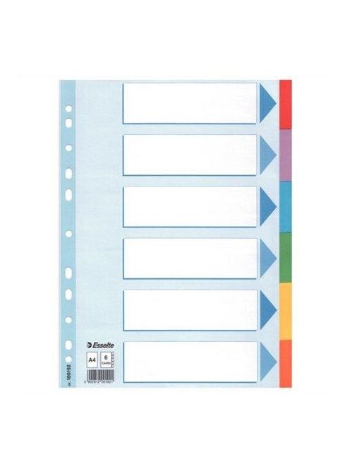 Regiszter, karton, A4, 6 részes, írható előlappal, ESSELTE "Standard", színes  (E100192) (E100192)