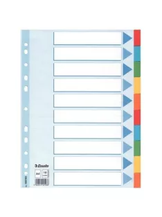   Regiszter, karton, A4, 10 részes, írható előlappal, ESSELTE "Standard", színes (E100193)