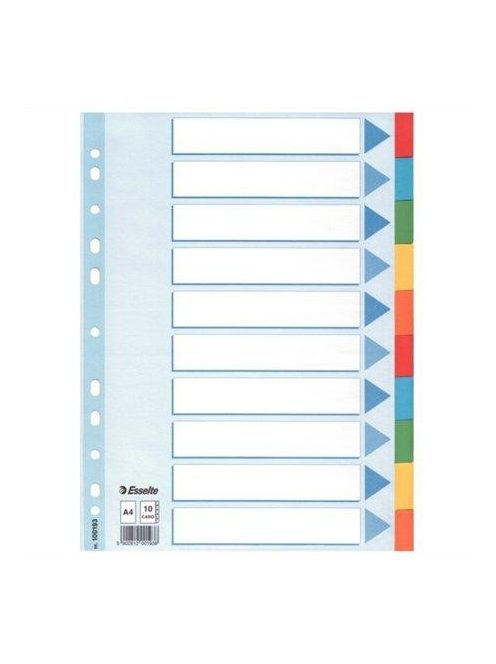 Regiszter, karton, A4, 10 részes, írható előlappal, ESSELTE "Standard", színes (E100193)
