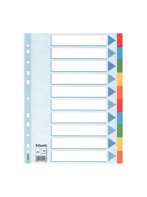 Regiszter, karton, A4, 10 részes, írható előlappal, ESSELTE "Standard", színes (E100193)