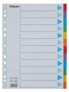 Regiszter, karton, A4, 12 részes, írható előlappal, ESSELTE "Standard", színes (E100194)