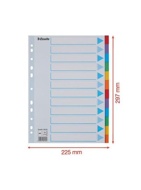 Regiszter, karton, A4, 12 részes, írható előlappal, ESSELTE "Standard", színes (E100194)
