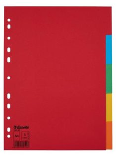   Regiszter, karton, A4, 5 részes, ESSELTE "Economy", színes (E100199)