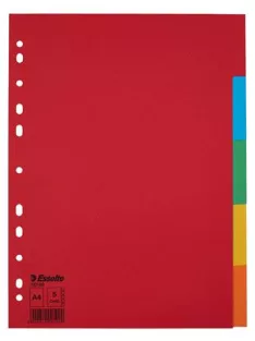   Regiszter, karton, A4, 5 részes, ESSELTE "Economy", színes (E100199)