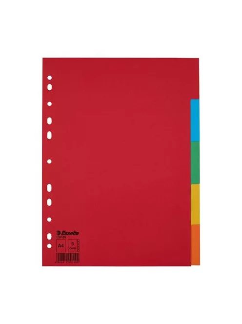 Regiszter, karton, A4, 5 részes, ESSELTE "Economy", színes (E100199)
