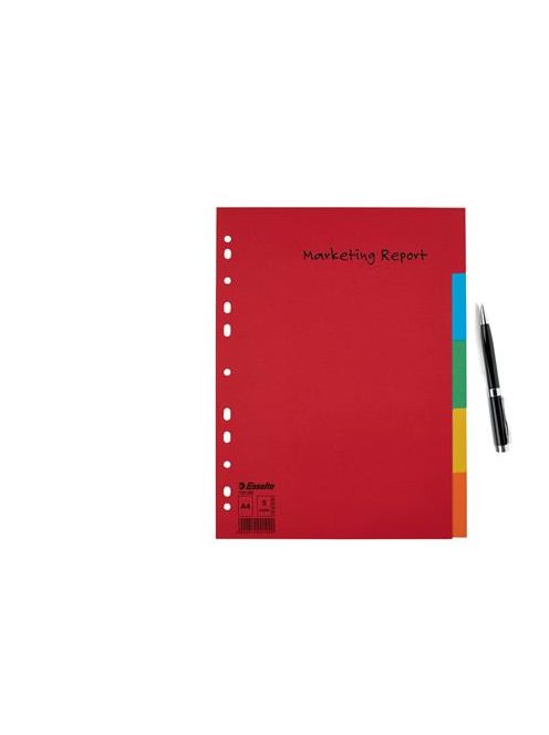 Regiszter, karton, A4, 5 részes, ESSELTE "Economy", színes (E100199)