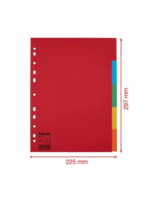 Regiszter, karton, A4, 5 részes, ESSELTE "Economy", színes (E100199)