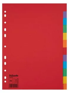   Regiszter, karton, A4, 12 részes, ESSELTE "Economy", színes (E100202)