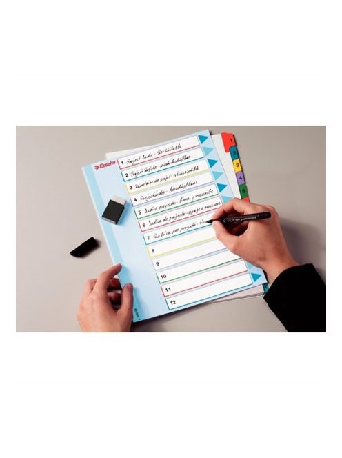 Regiszter, laminált karton, A4 maxi, 1-5, újraírható, ESSELTE (E100207)