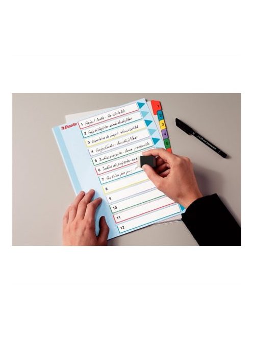 Regiszter, laminált karton, A4 maxi, 1-5, újraírható, ESSELTE (E100207)