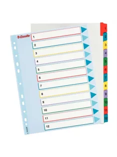   Regiszter, laminált karton, A4 Maxi, 1-12, újraírható, ESSELTE (E100209)