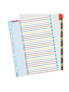   Regiszter, laminált karton, A4 Maxi, 1-31, újraírható, ESSELTE (E100210)