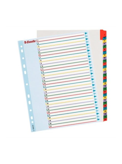 Regiszter, laminált karton, A4 Maxi, 1-31, újraírható, ESSELTE (E100210)