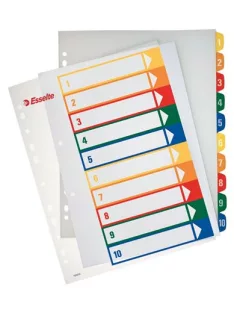   Regiszter, műanyag, A4 Maxi, 1-10, nyomtatható, ESSELTE, áttetsző (E100213)