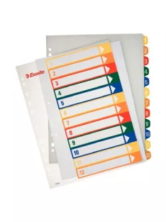   Regiszter, műanyag, A4 Maxi, 1-12, nyomtatható, ESSELTE, áttetsző (E100214)