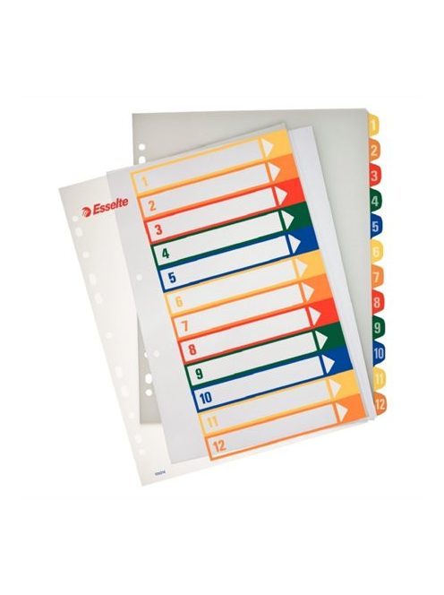 Regiszter, műanyag, A4 Maxi, 1-12, nyomtatható, ESSELTE, áttetsző (E100214)