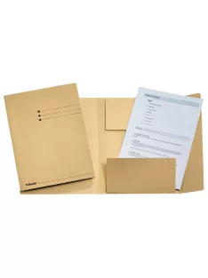 Pólyás dosszié, prespán, A4, ESSELTE, kagyló (E1033304)