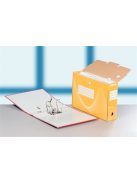 Archiválódoboz, A4, 100 mm, karton, ESSELTE "Boxycolor", sárga (E128423)