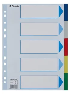 Regiszter, műanyag, A4, 5 részes, ESSELTE (E15259)