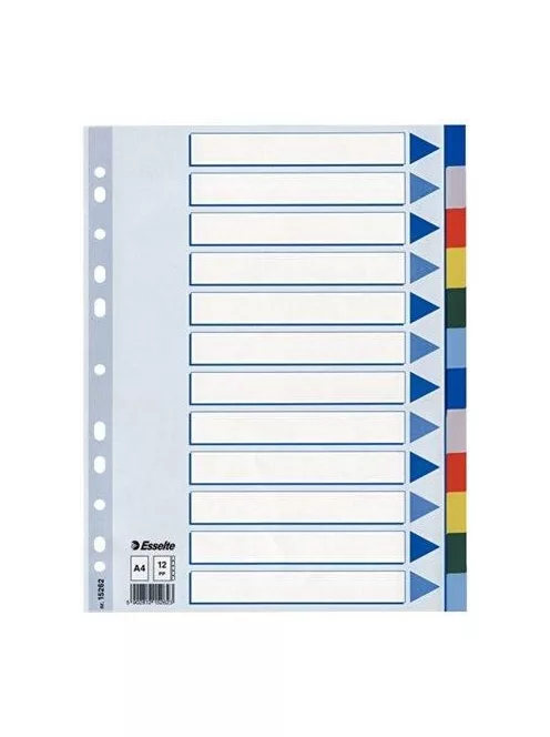 Regiszter, műanyag, A4, 20 részes, ESSELTE (E15263)
