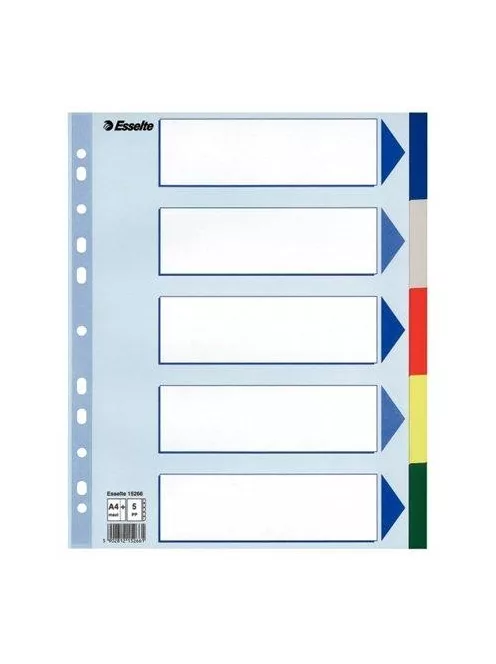 Regiszter, műanyag, A4 Maxi, 5 részes, ESSELTE (E15266)