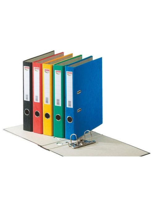 Iratrendező, 50 mm, A4, karton, ESSELTE "Rainbow", kék (E17920)