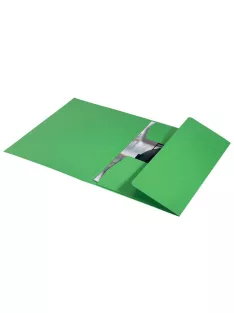   Pólyás dosszié, karton, A4, LEITZ "Recycle", zöld (E39060055)