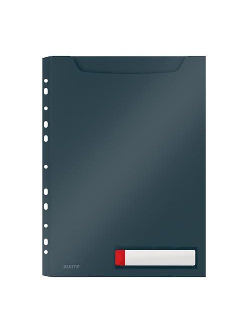 Genotherm, lefűzhető, A4 maxi, LEITZ "Cosy Privacy", bársonyszürke (E46680089)