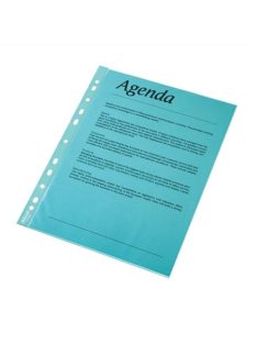   Genotherm, lefűzhető, A4, 55 mikron, víztiszta felület, ESSELTE, kék (E47205)