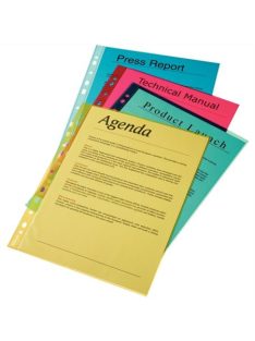   Genotherm, lefűzhető, A4, 55 mikron, víztiszta felület, ESSELTE, kék (E47205)