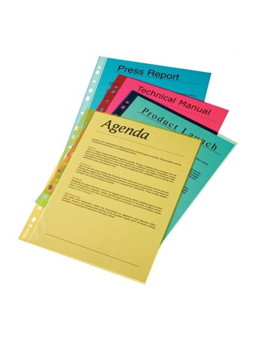 Genotherm, lefűzhető, A4, 55 mikron, víztiszta felület, ESSELTE, kék (E47205)