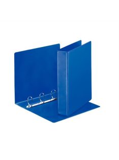   Gyűrűs könyv, panorámás, 4 gyűrű, D alakú, 65 mm, A4, PP, ESSELTE, kék (E49762)