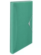 Harmonikamappa, A4, PP, 6 rekeszes, ESSELTE "Colour'Breeze", zöld (E626253)