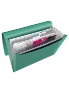 Harmonikamappa, A4, PP, 6 rekeszes, ESSELTE "Colour'Breeze", zöld (E626253)