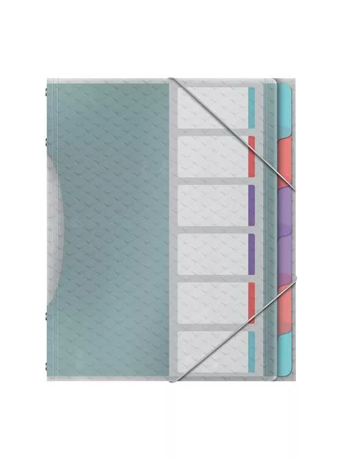 Előrendező, A4, 6 részes, műanyag, ESSELTE "Colour’Breeze", áttetsző (E626255)