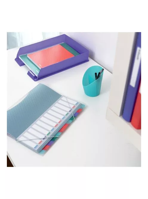 Előrendező, A4, 6 részes, műanyag, ESSELTE "Colour’Breeze", áttetsző (E626255)