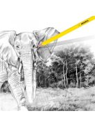 Grafitceruza radírral, HB, háromszögletű, KORES "Neon" (IK92306)