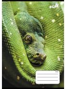 Füzet, tűzött, A5, vonalas, 32 lap, 1. osztály, COOL BY VICTORIA, "Animals", 14-32 (ISVFC68)