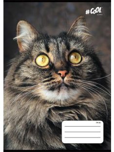   Füzet, tűzött, A5, vonalas, 32 lap, 1. osztály, COOL BY VICTORIA, "Animals", 14-32 (ISVFC68)