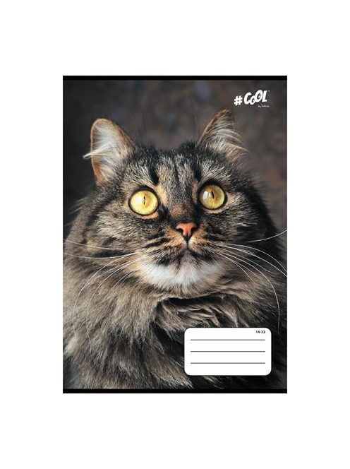Füzet, tűzött, A5, vonalas, 32 lap, 1. osztály, COOL BY VICTORIA, "Animals", 14-32 (ISVFC68)