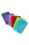 Gumis mappa, 20 mm, PP, A6, VIQUEL "Propyglass Mini", vegyes színek (IV017083)