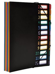   Irattartó mappa, gumis, 12 részes, VIQUEL "Rainbow Class", fekete (IV118967)