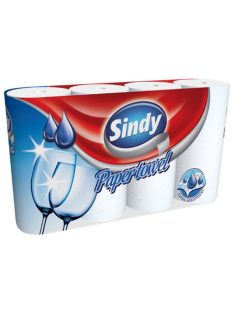   Háztartási papírtörlő, 2 rétegű, 4 tekercses, "Sindy" (KHH293)
