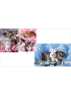 Asztali könyöklő T-Creativ 545 x 340 mm, Cats