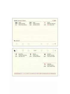   Kalendárium betét, tervező, heti, "S", SATURNUS, chamois 2025